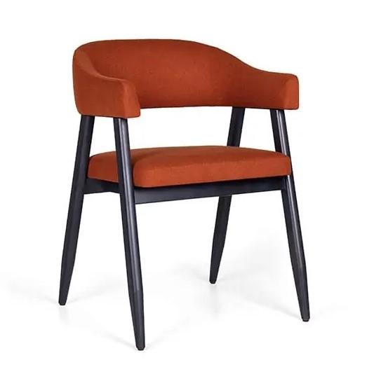 Vasa Armchair