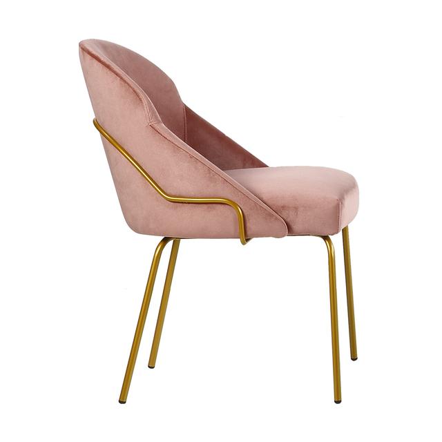 Pariso Side Chair, Tubular Metal Frame, Plain Back