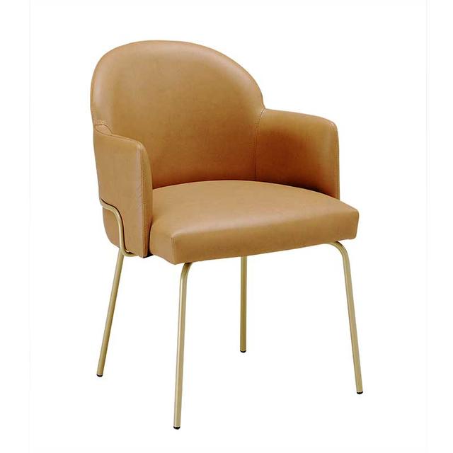 Pariso Armchair, Tubular Metal Frame, Plain Back