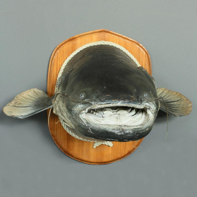 Catfish on plaque Image 1