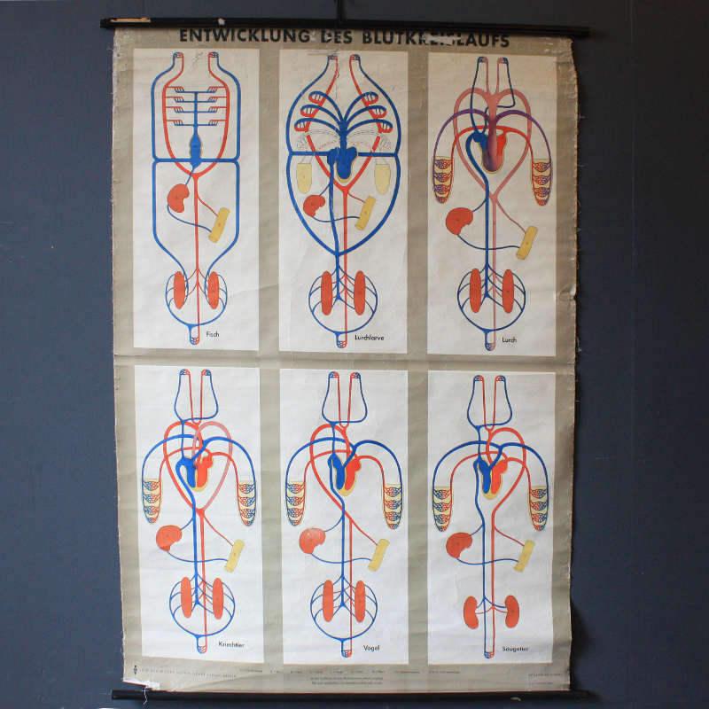 Vintage school poster - ATVMBRK0939