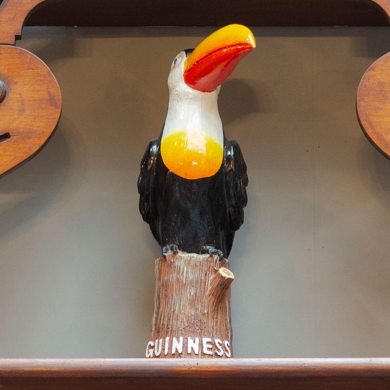Stout toucan stump