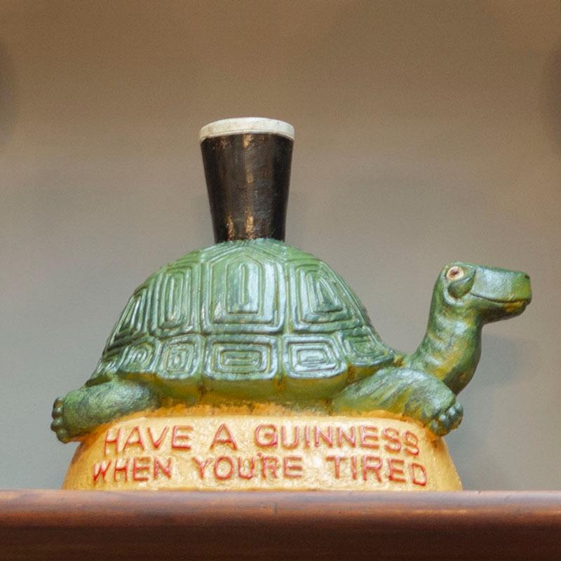 Stout tortoise