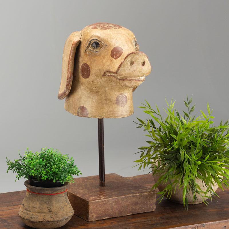 Naïve Timber pig Head