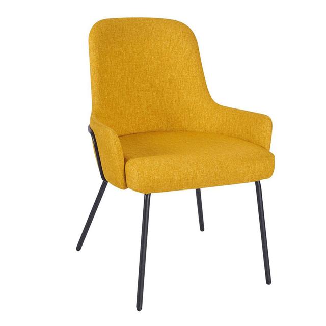 Camden Tube Frame Side Chair