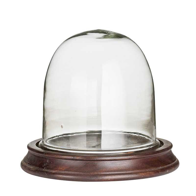 Glass dome one ATVMRSTD268